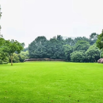 Park