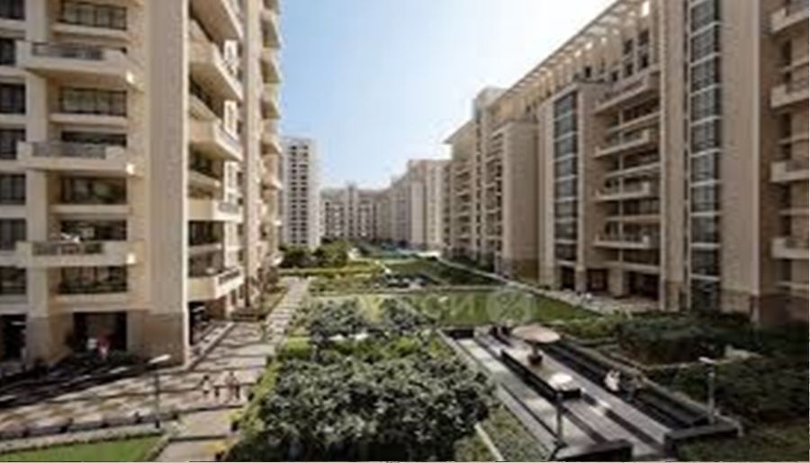 3BHK Luxury Builder Floors in Sector 56 Gurgaon